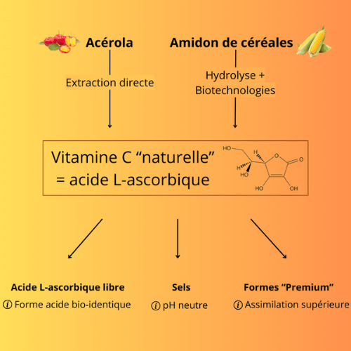 Les différentes formes de vitamine C des compléments alimentaires
